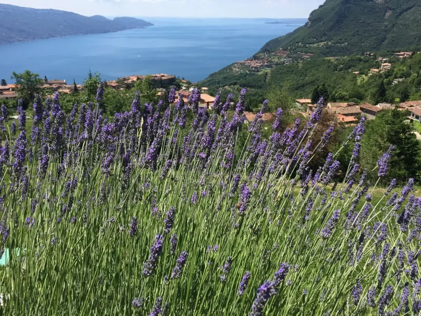 BnB Borgo le Vigne - La Vinaccia
