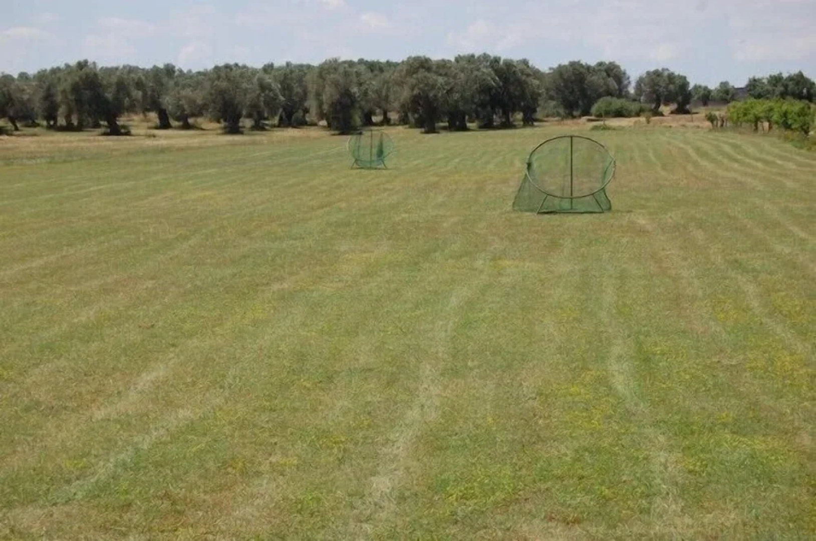 Scalilla - L'Agriturismo