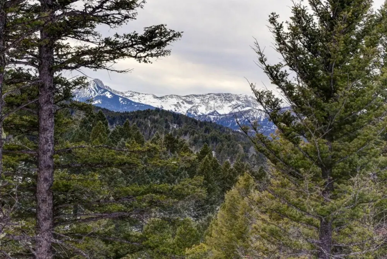 Bozeman - Grassy Ridge