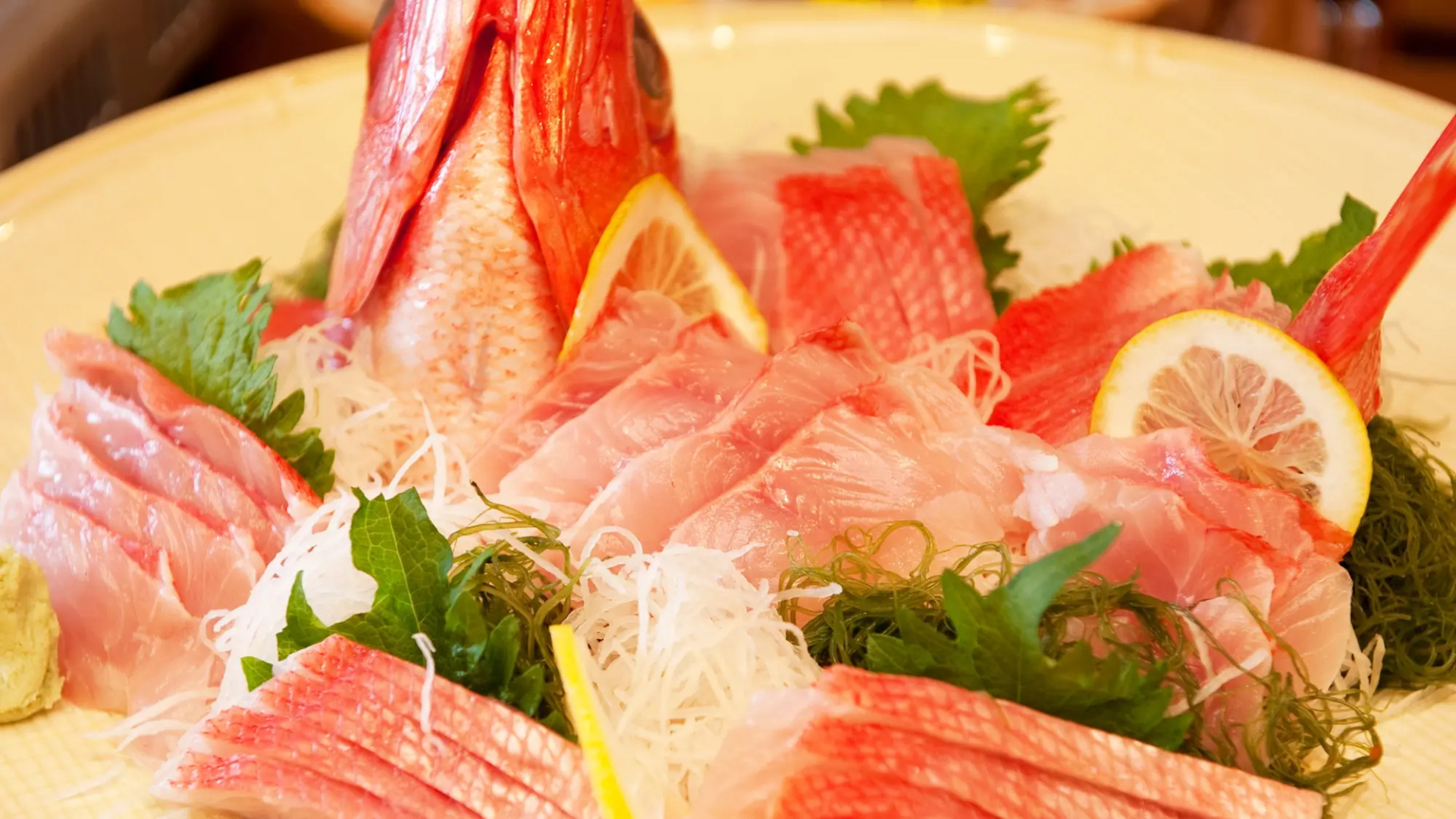 Izu Dog Pension Kotobuki Base