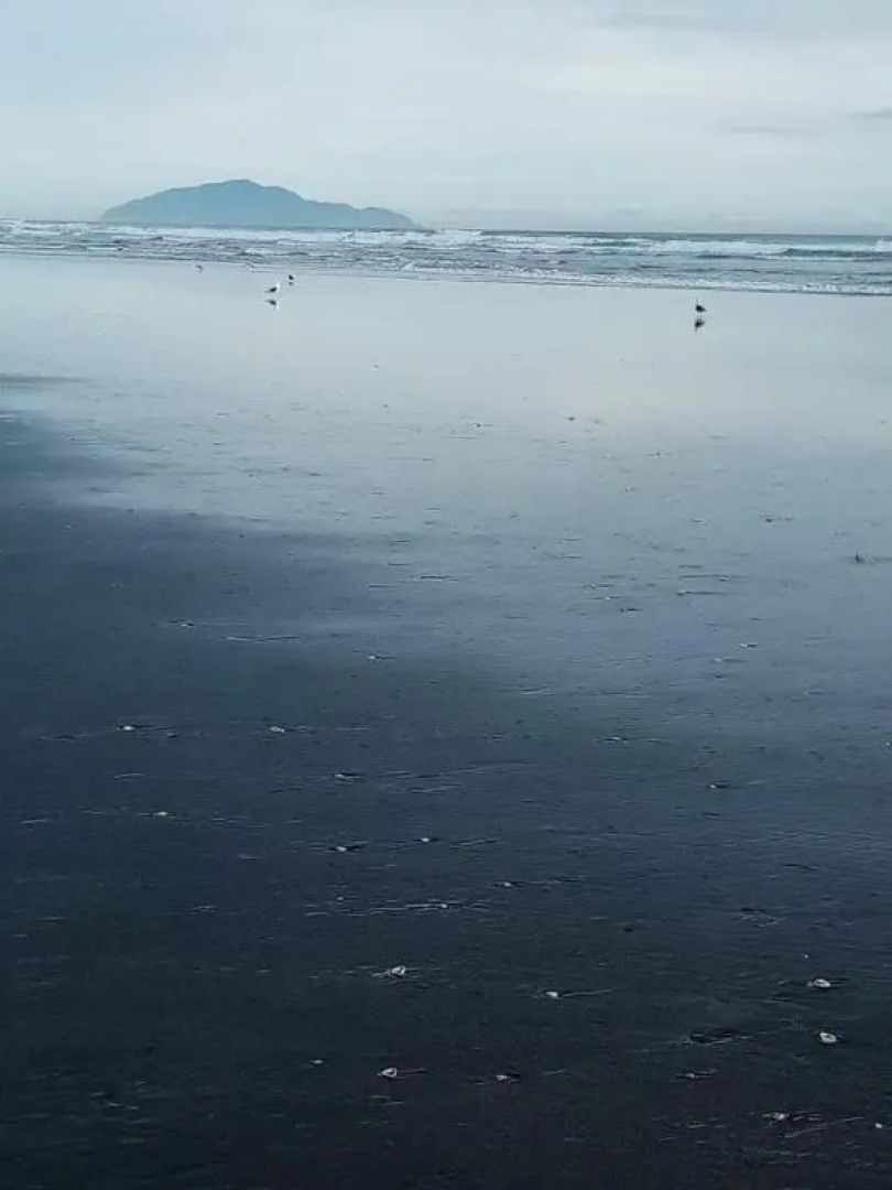 Manakau House the Old Manakau Hotel 1920