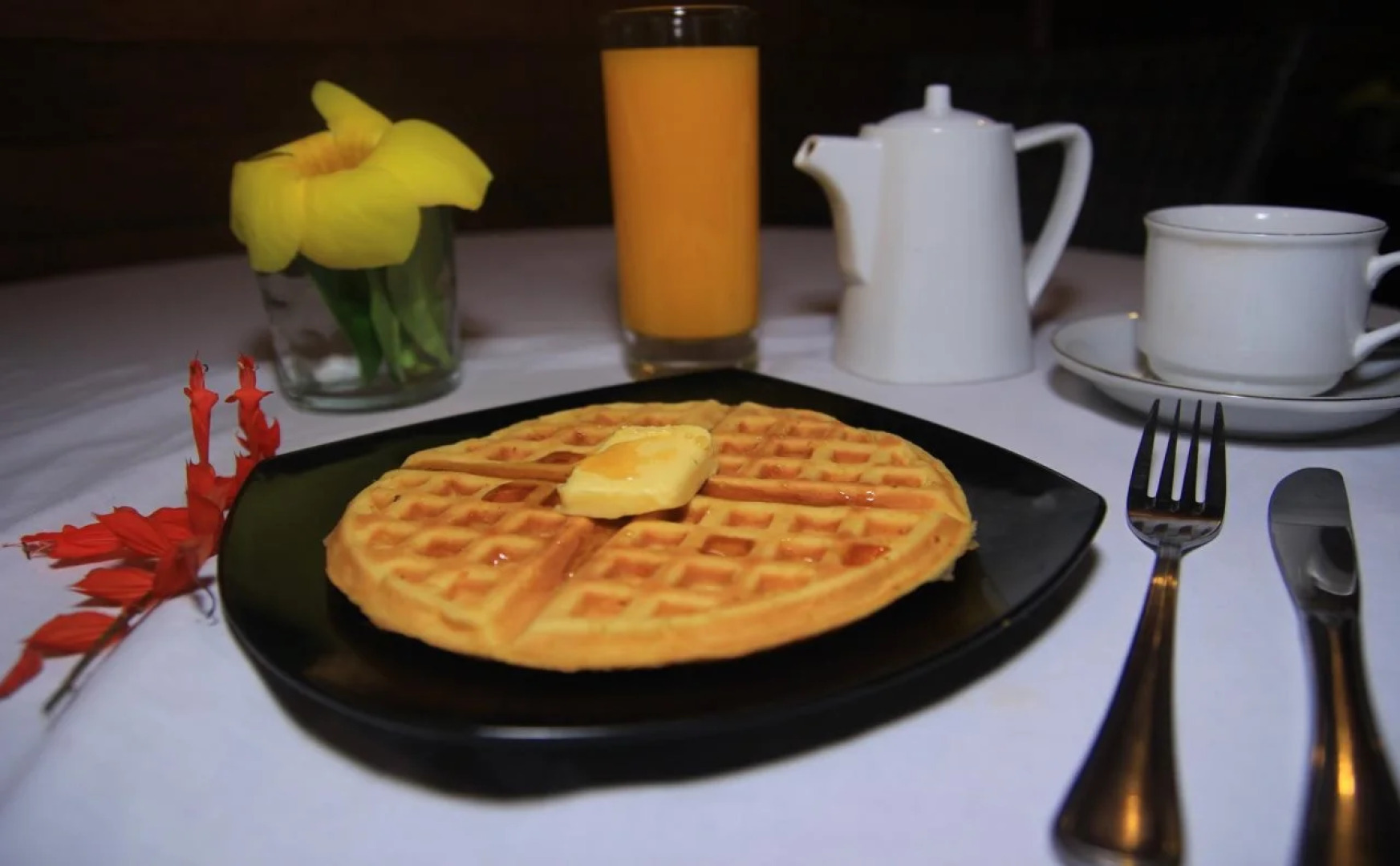 Highland Resort & Nature Tours