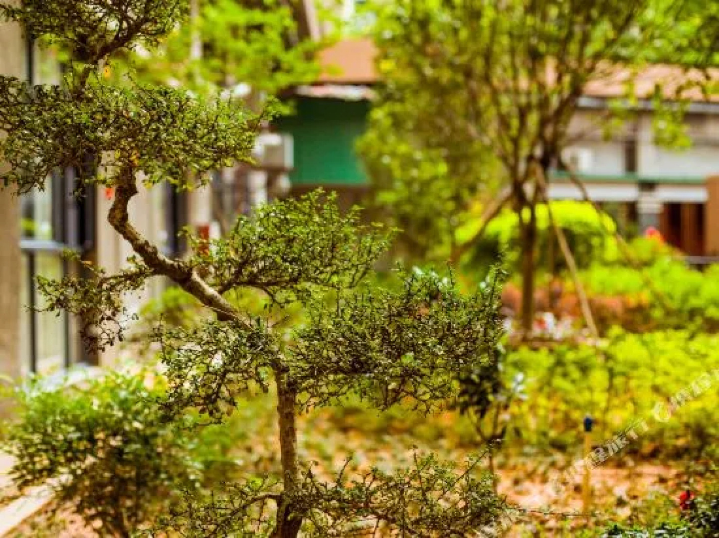 Zhong Yu Garden Hotel