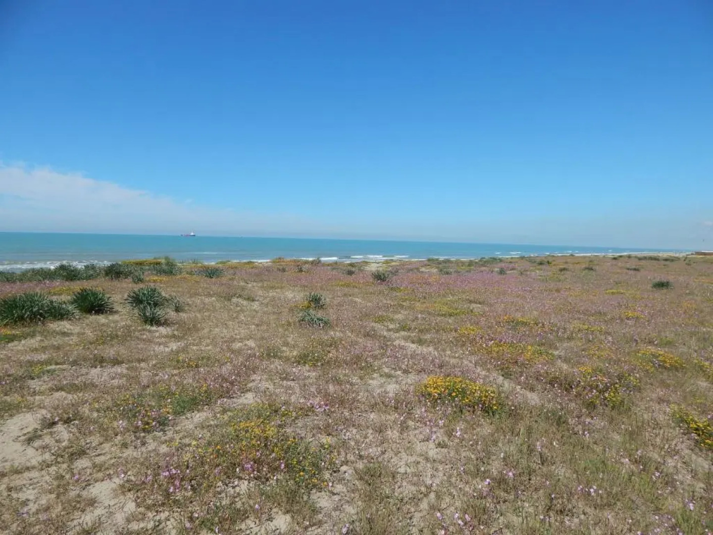 Residence Stabilimento Roma