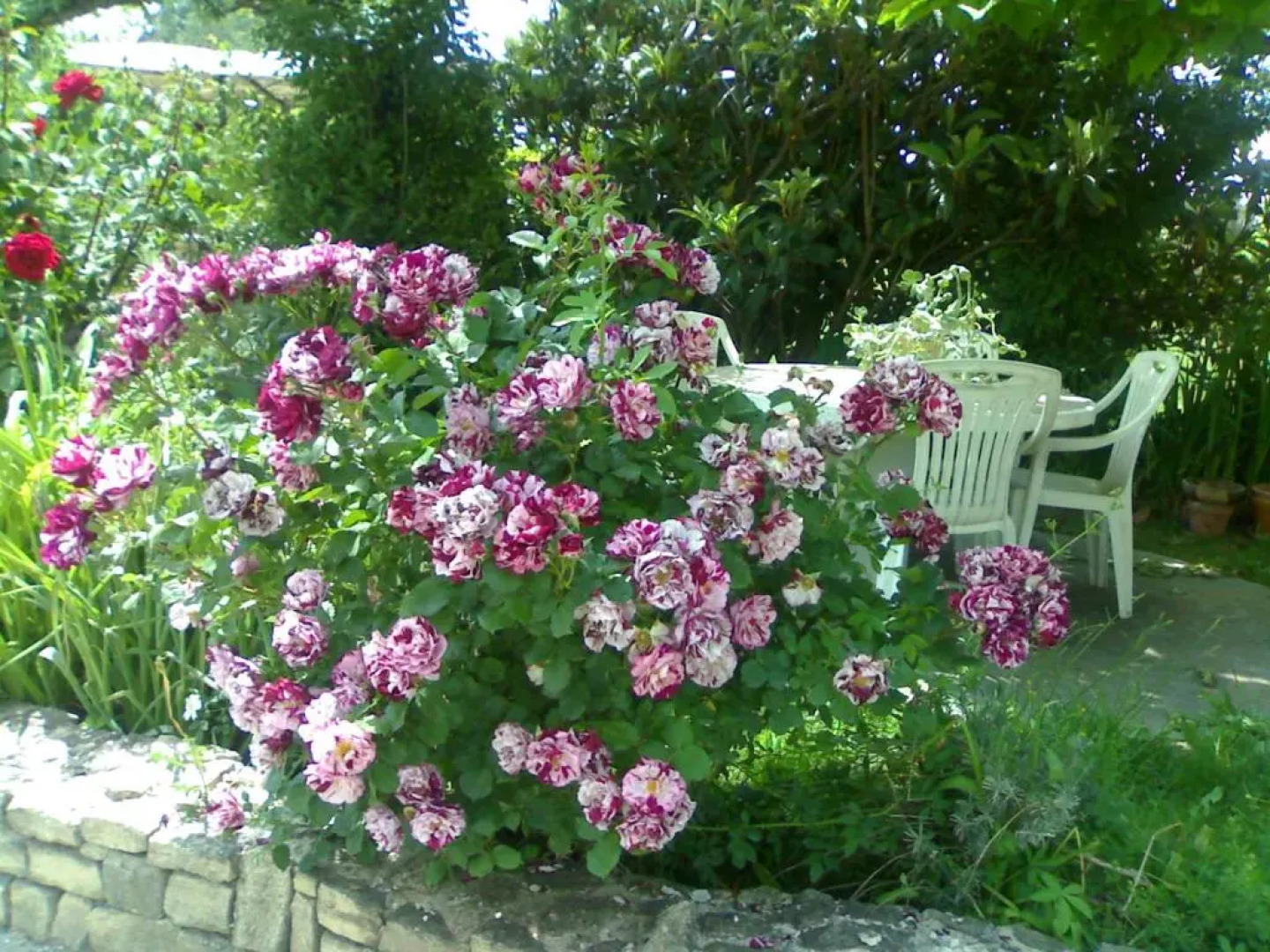 PROVENCE, SOLEIL ET LUBERON !!! Coin jardin 3 Lits 2 Chambres 80 m2