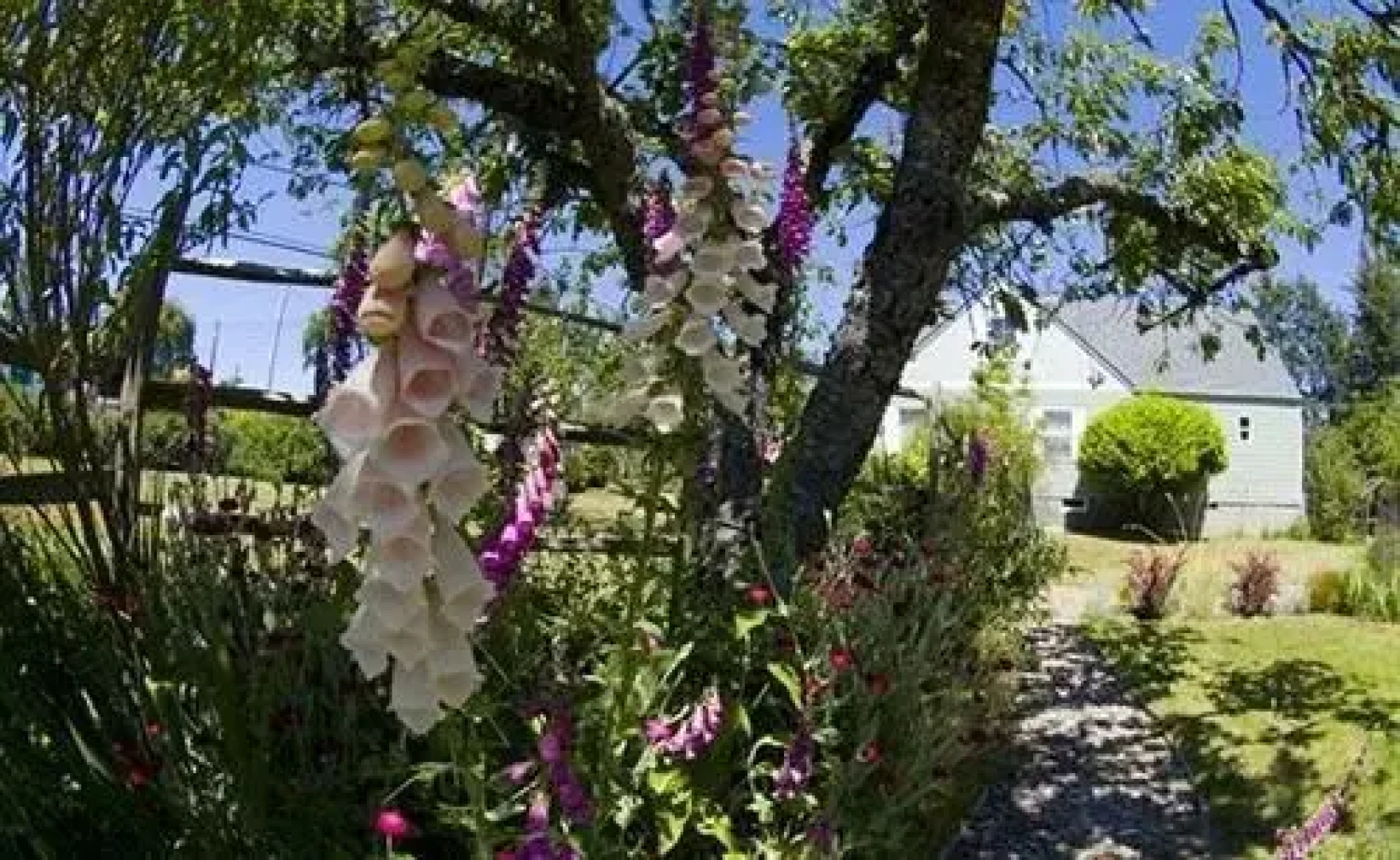 Westport Bayside Bed And Breakfast