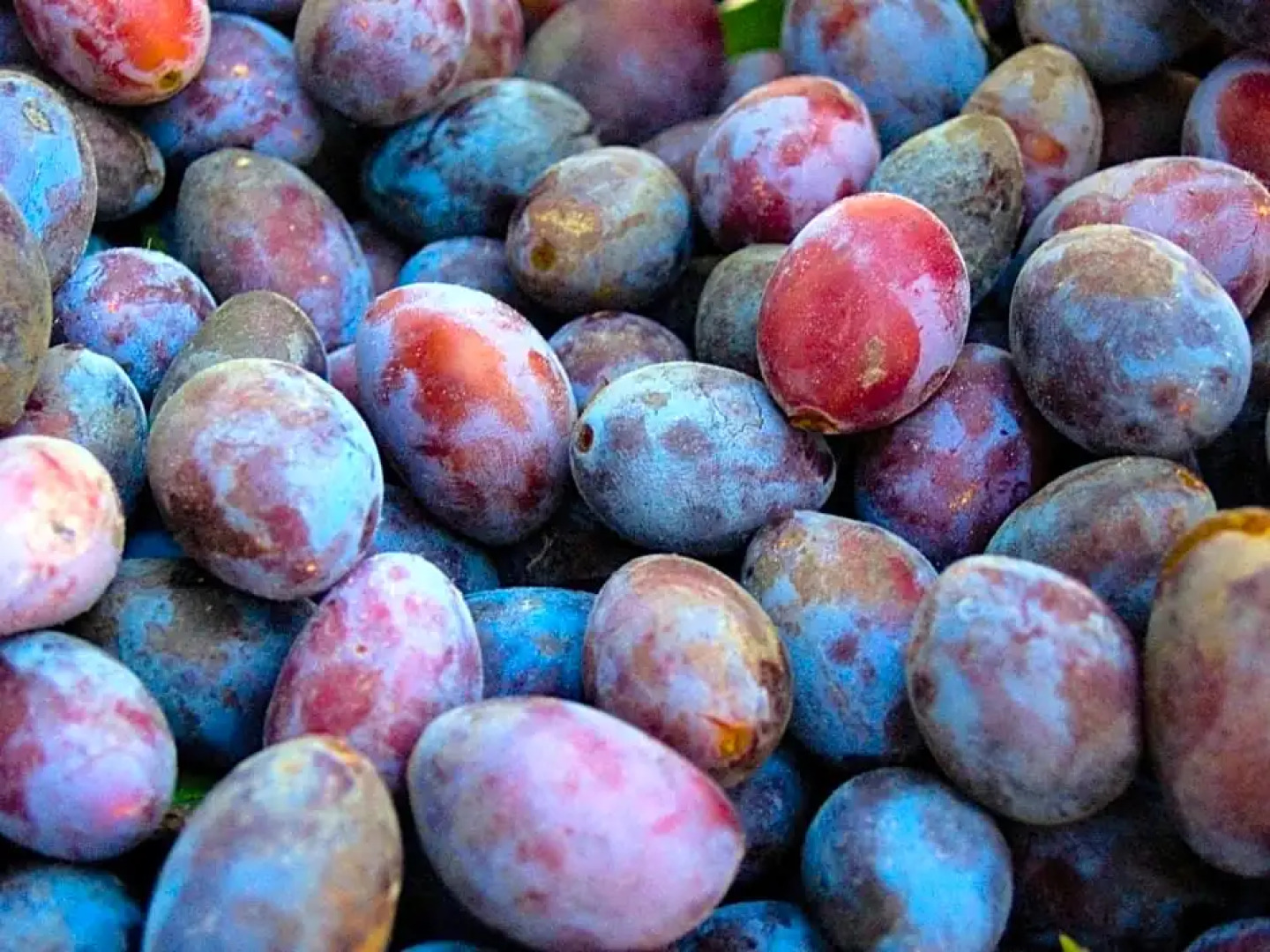 Gartenhotel & Weingut Pfeffel Dürnstein