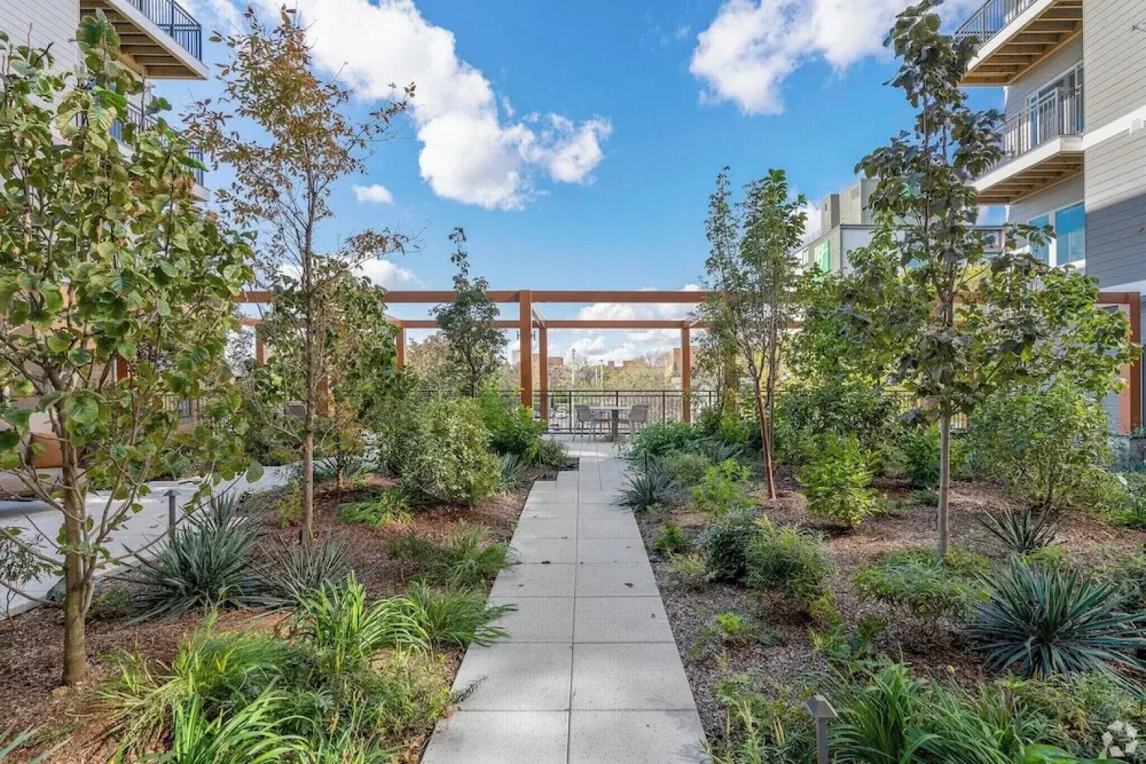 Luxury Apartments by Hyatus Boston Somerville