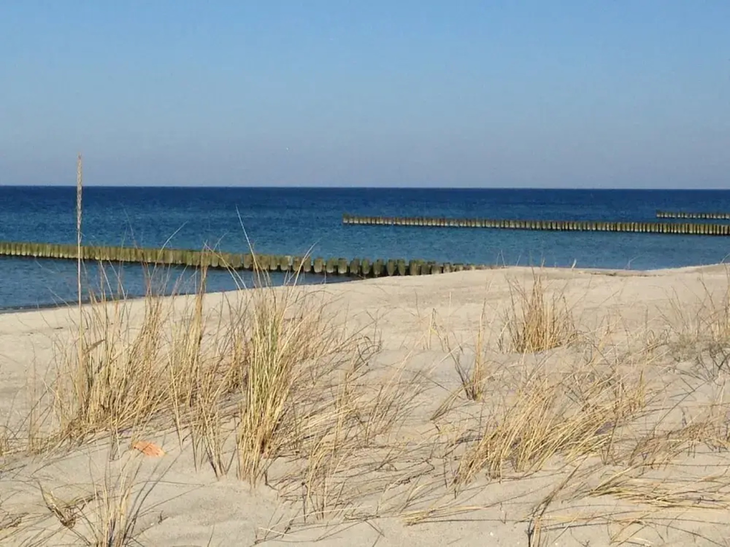 Apartment Near Saaler Bodden Lagoon