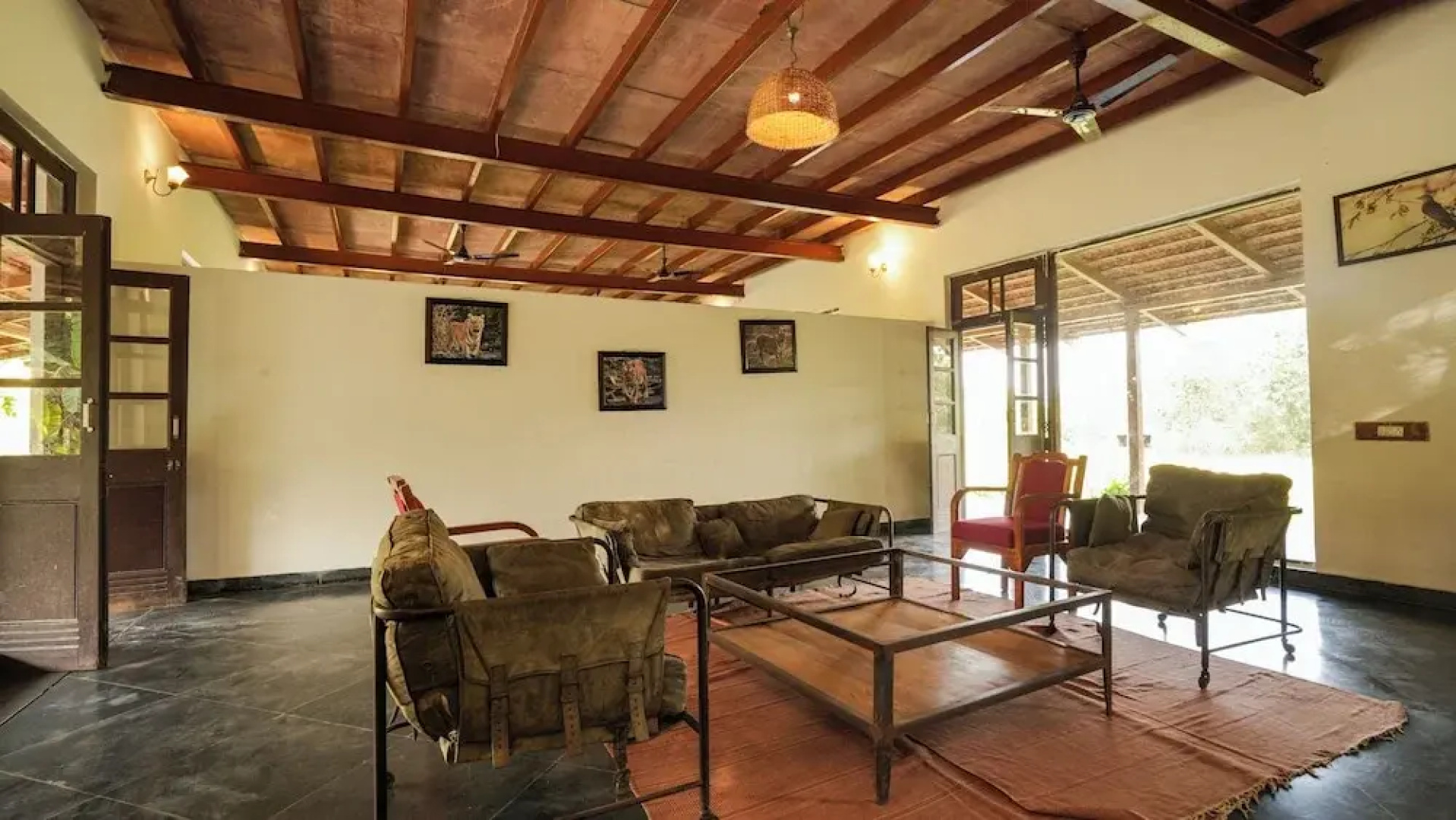 Mahua Tola Tadoba