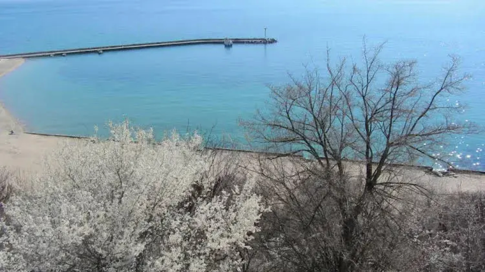 Apartments Bizone