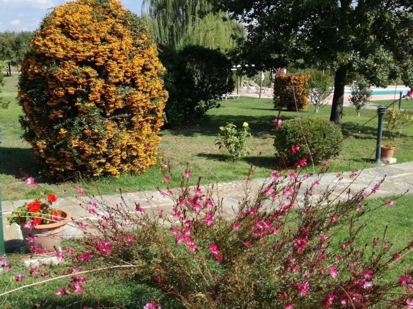 Agriturismo Brolio Quinto