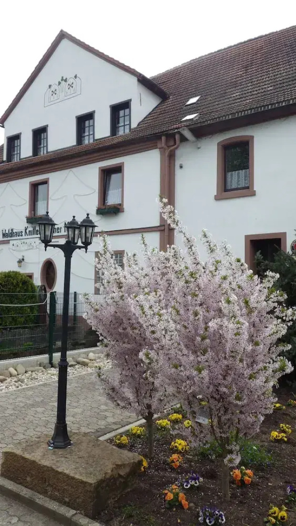 Waldhaus Knittelsheimer Mühle