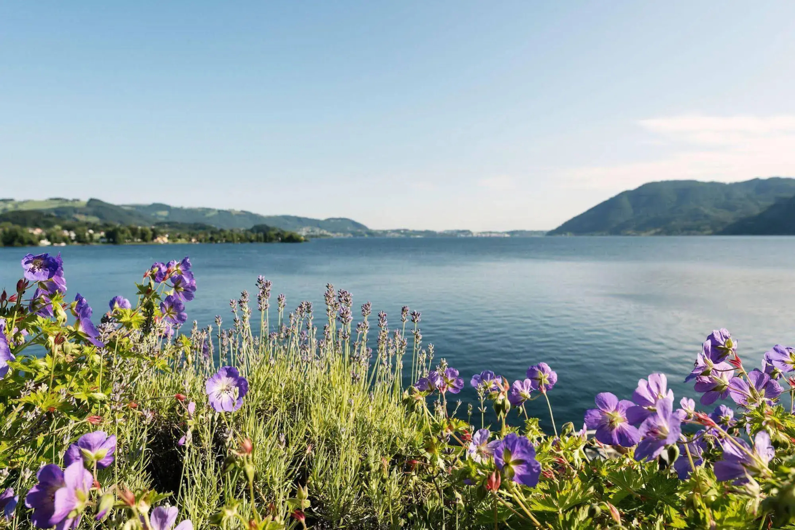 Das Traunsee
