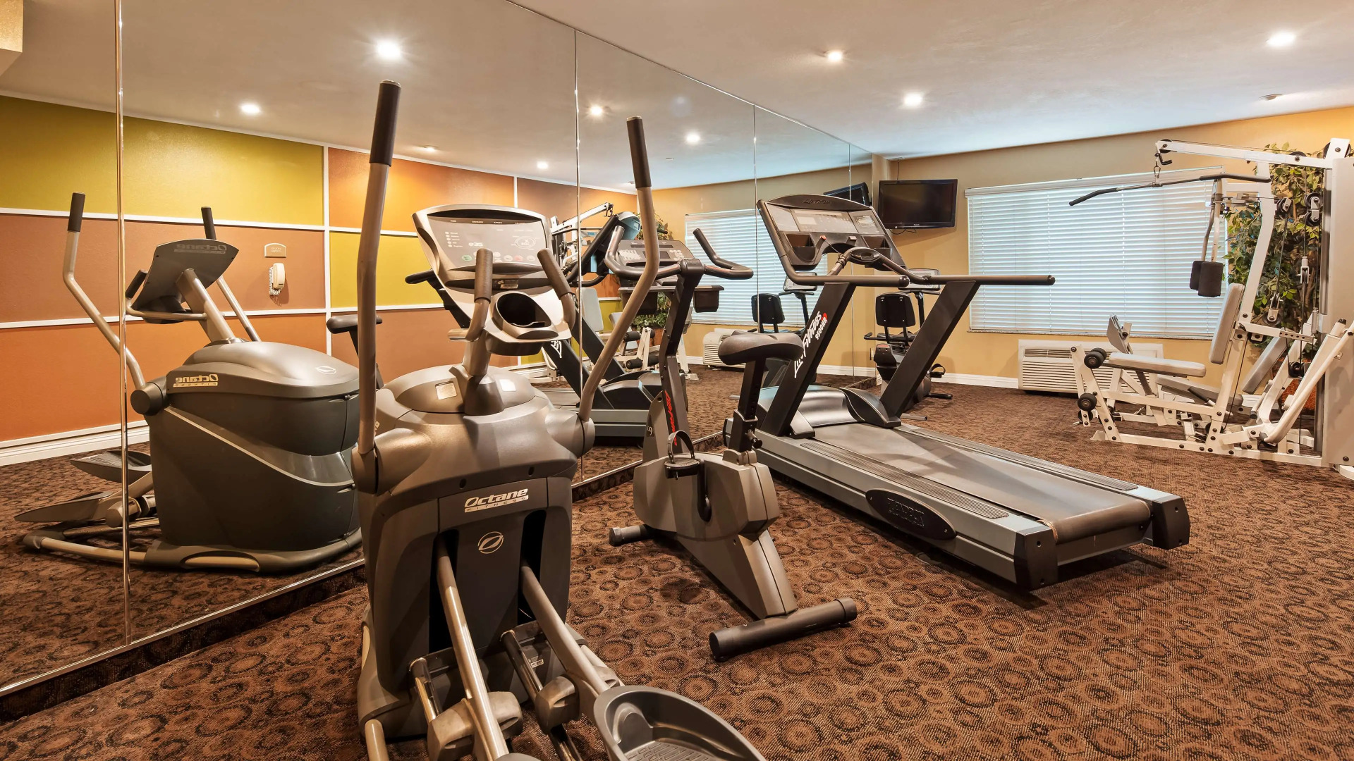 Best Western Plus Anaheim Orange County Hotel