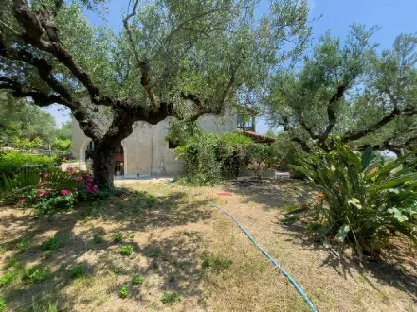 Villa Anta house by the sea