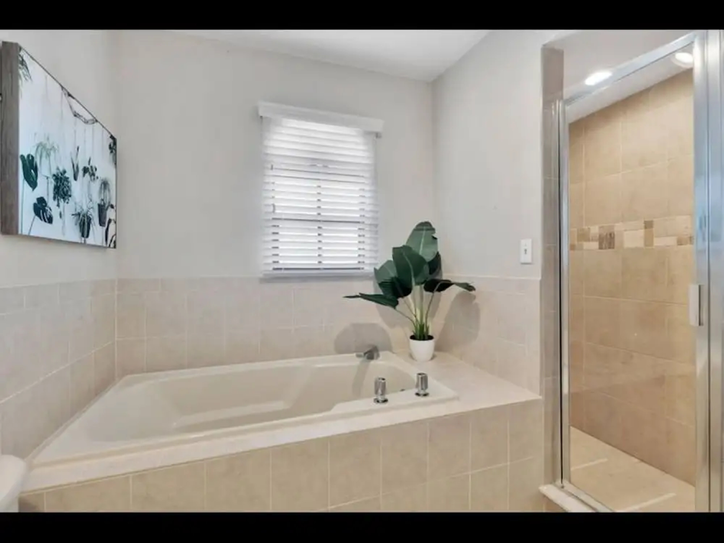 8 Bdrm Mansion 10 Mn To Honeymoon Island Beach