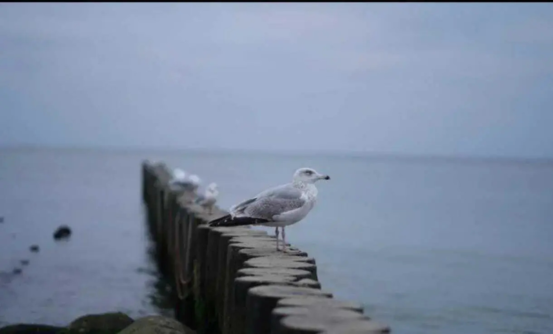 Апартаменты на улице Большая Окружная 4А