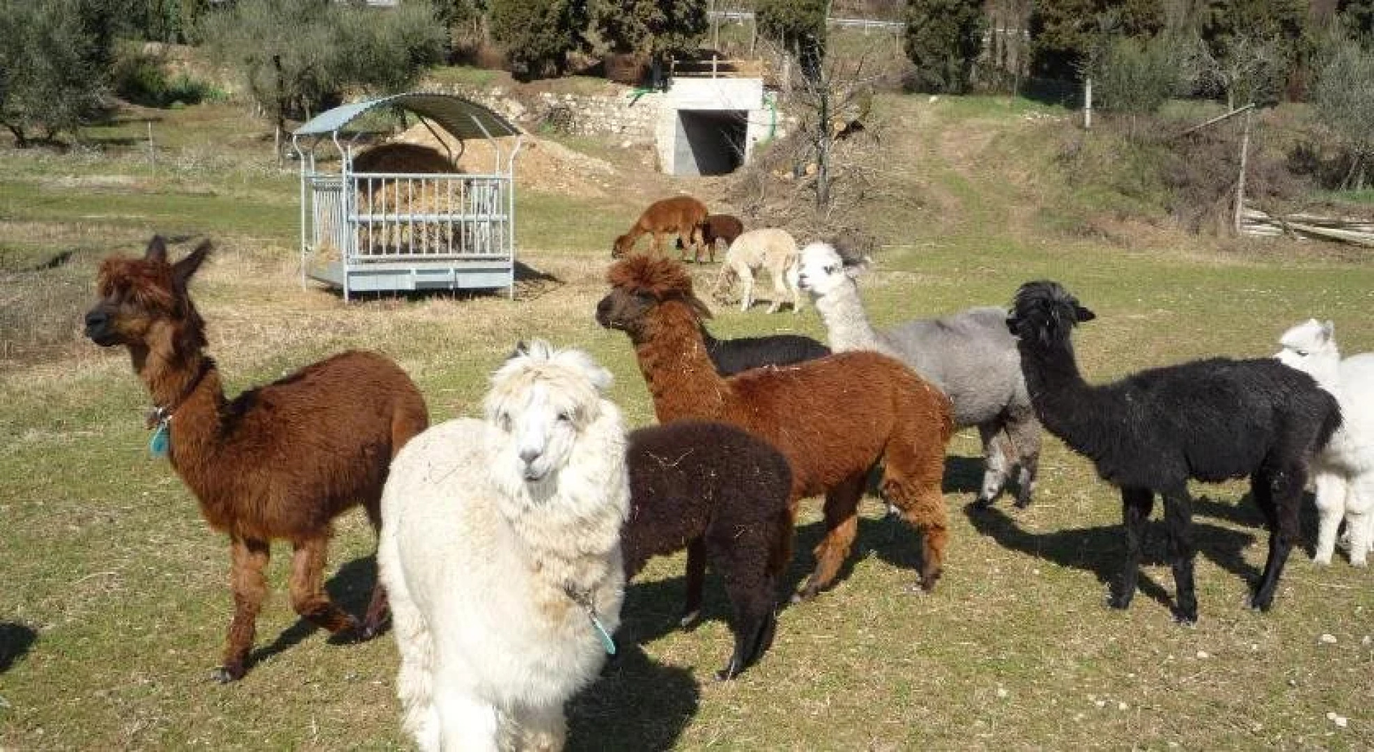 Agriturismo Pratello