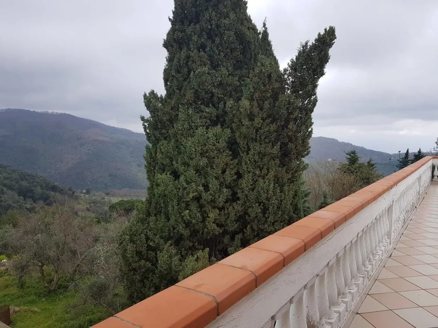 B&B Belvedere
