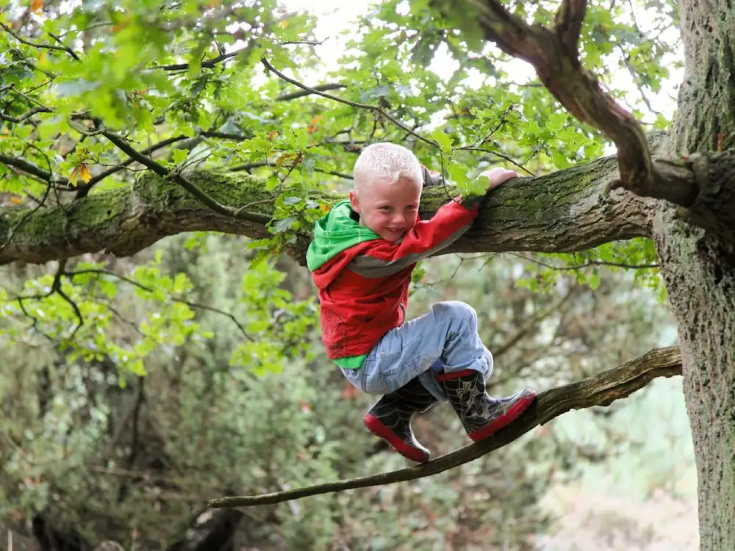 Spacious Home With a Whirlpool and six Bathrooms, in Twente