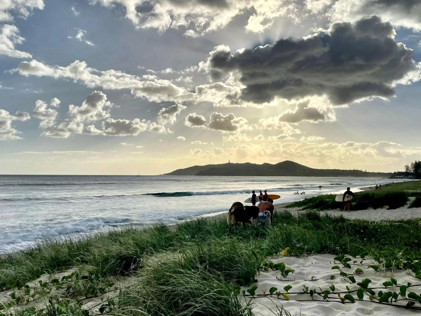 The Lily Pad at Byron Bay