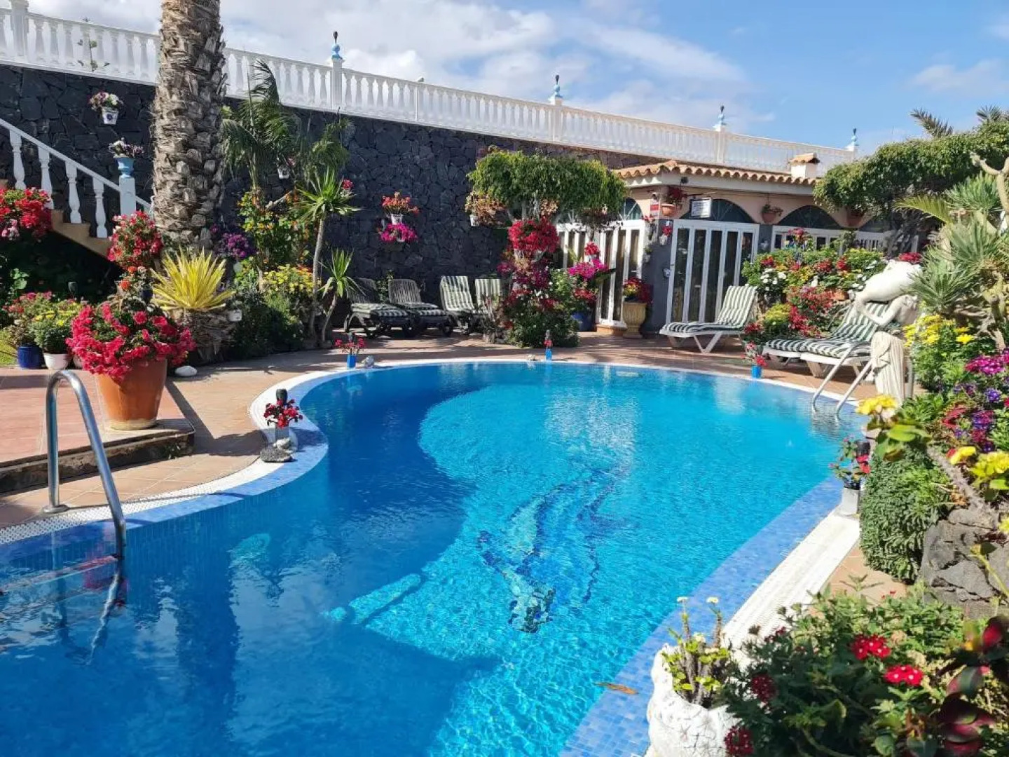 Apartamentos Los Delfines