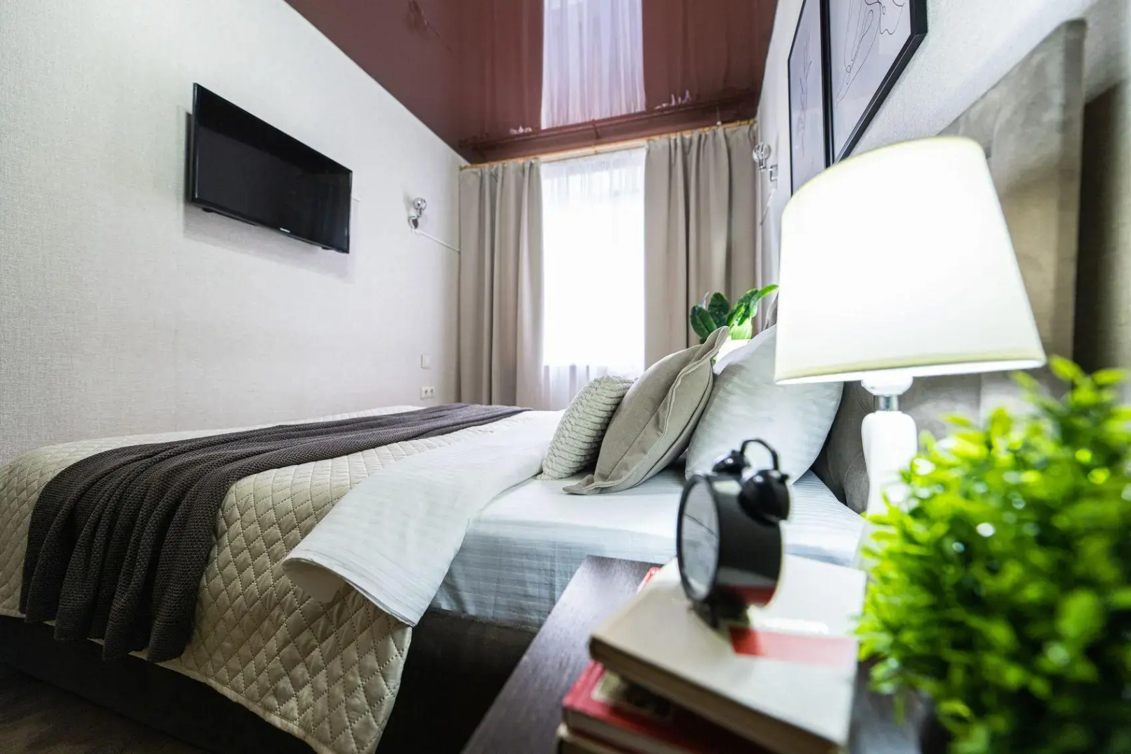 Пять Звезд на улице Сони Кривой 55