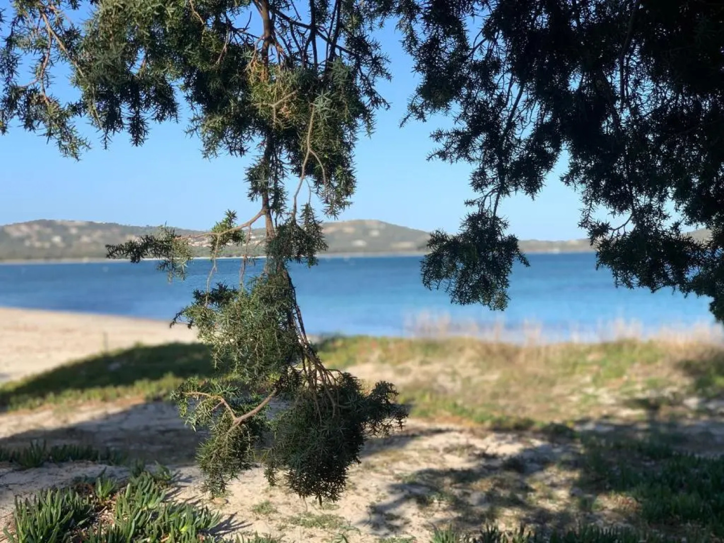 Maison Porto Vecchio - Lecci