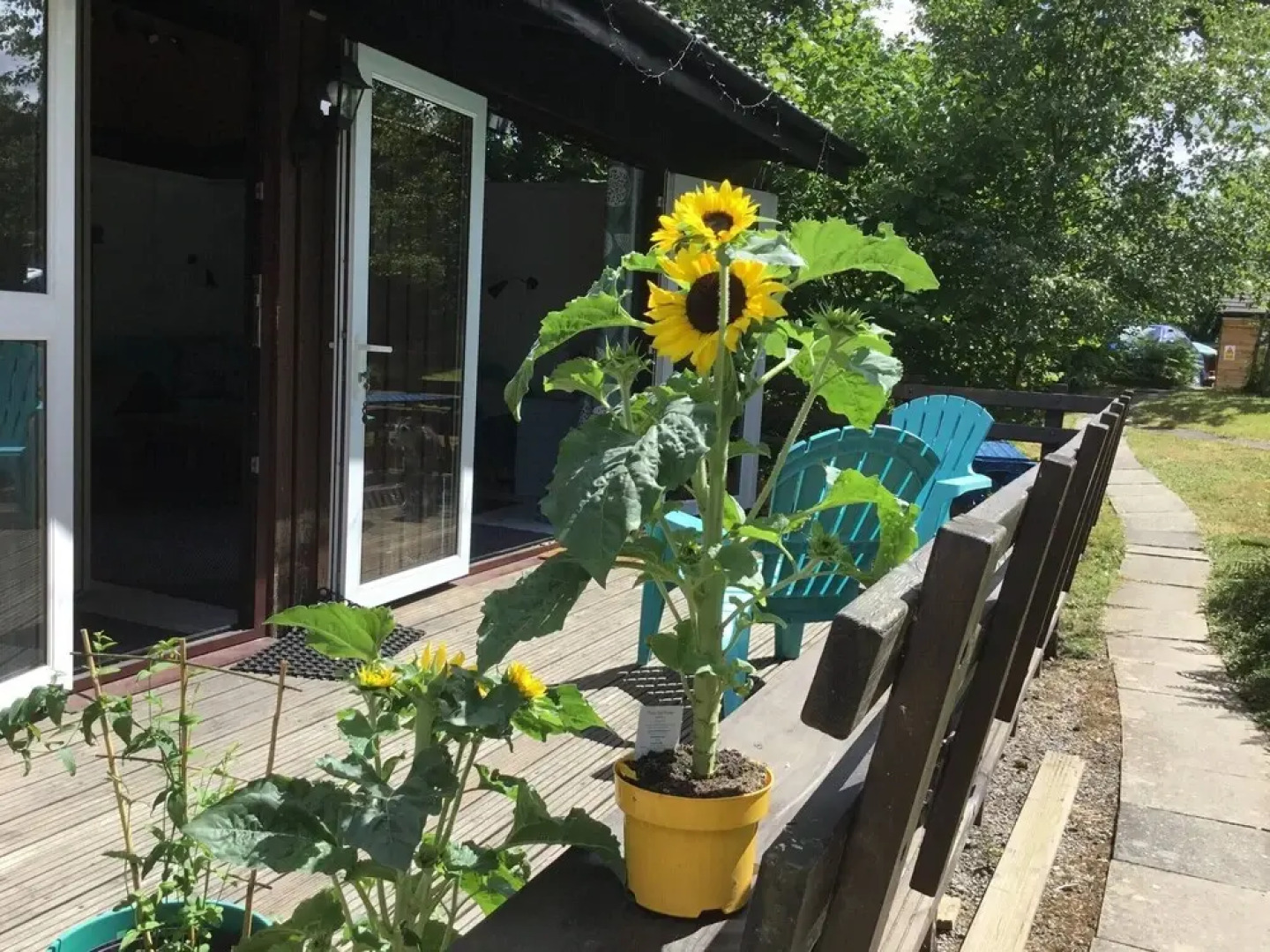 Caban Bach - The Little Cabin Cosy Cabin With Huge Sunny Deck