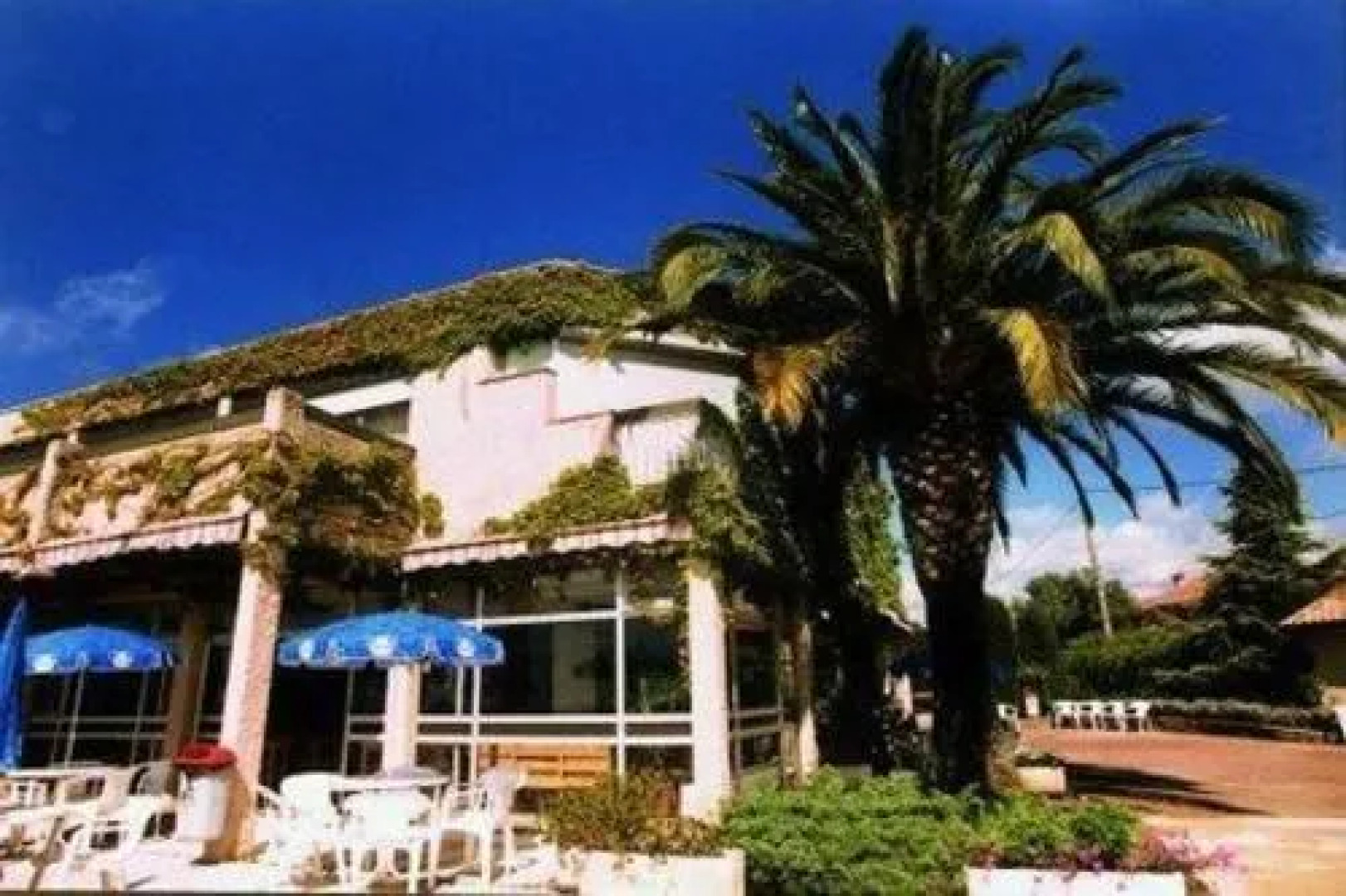 Le Kangourou by Popinns