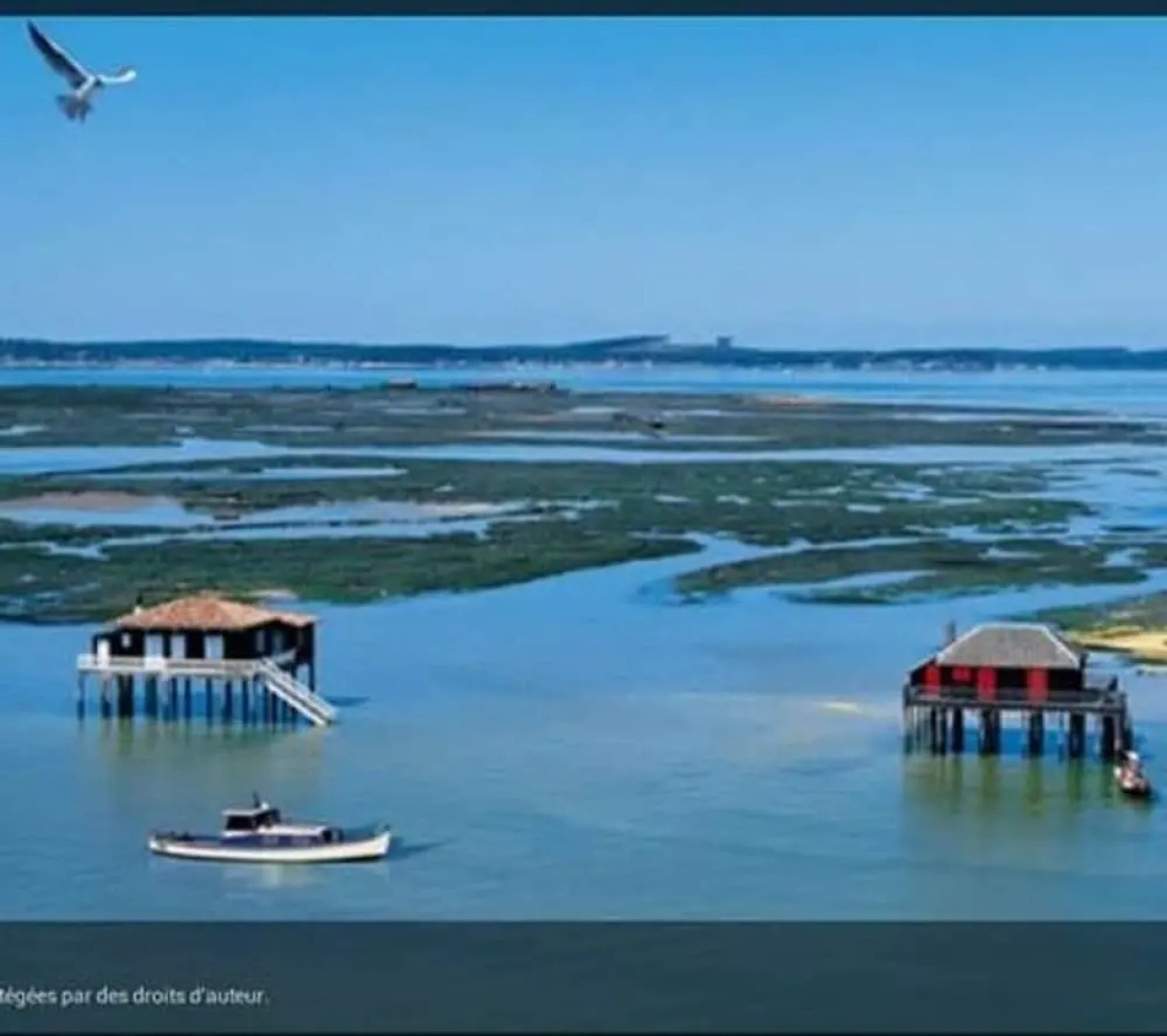 Apartment With one Bedroom in Andernos-les-bains, With Enclosed Garden - 2 km From the Beach