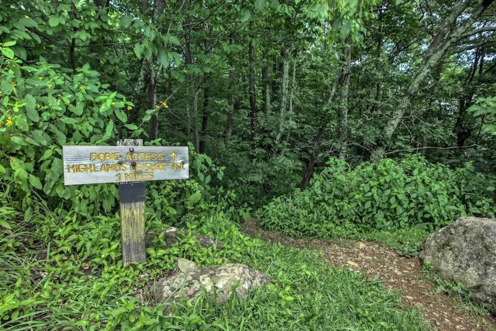 Wintergreen Home w/ Deck - Near Skiing & Hiking!