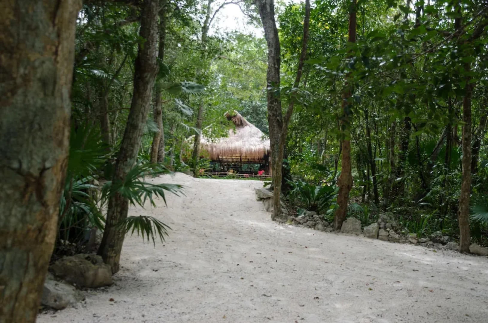 Glamping Mama Loo MM