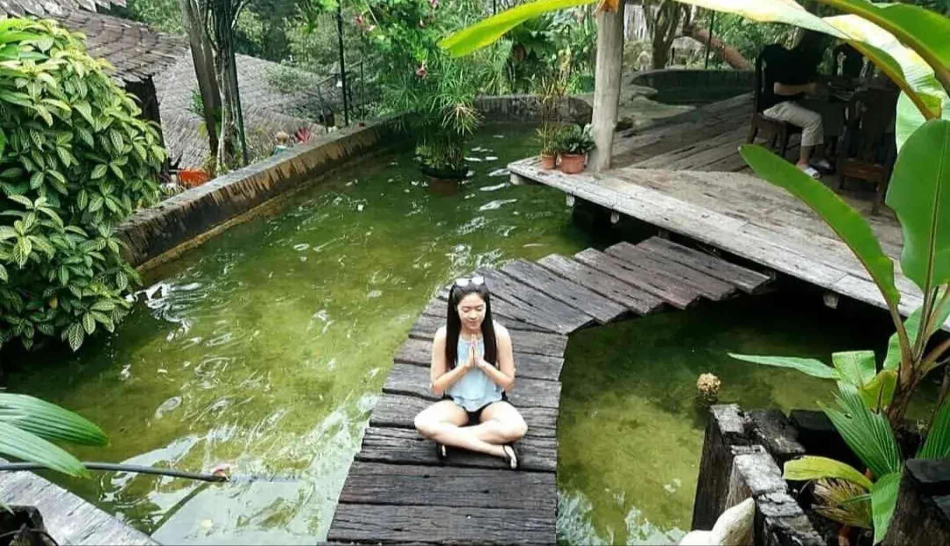 Fig Tree Hill Resort