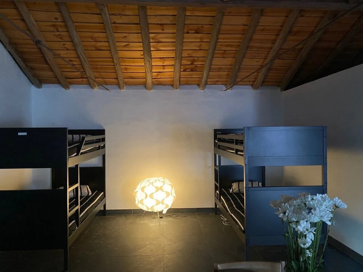 Pateo House - Casa Pereirinha in Vidigueira