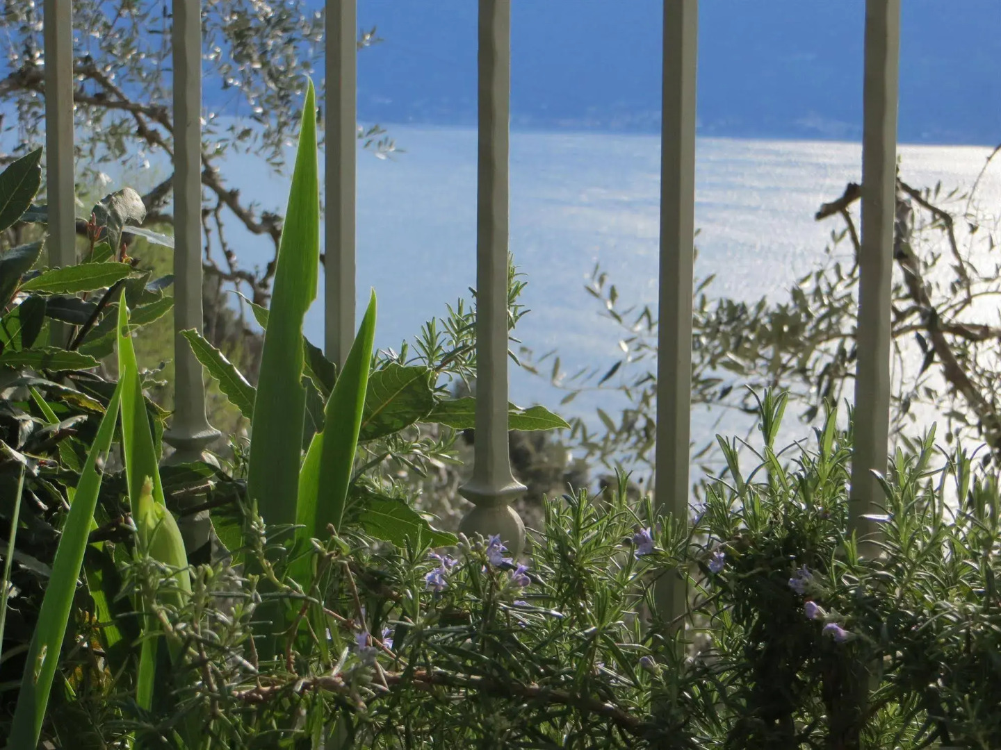 Agriturismo Villa Muslone