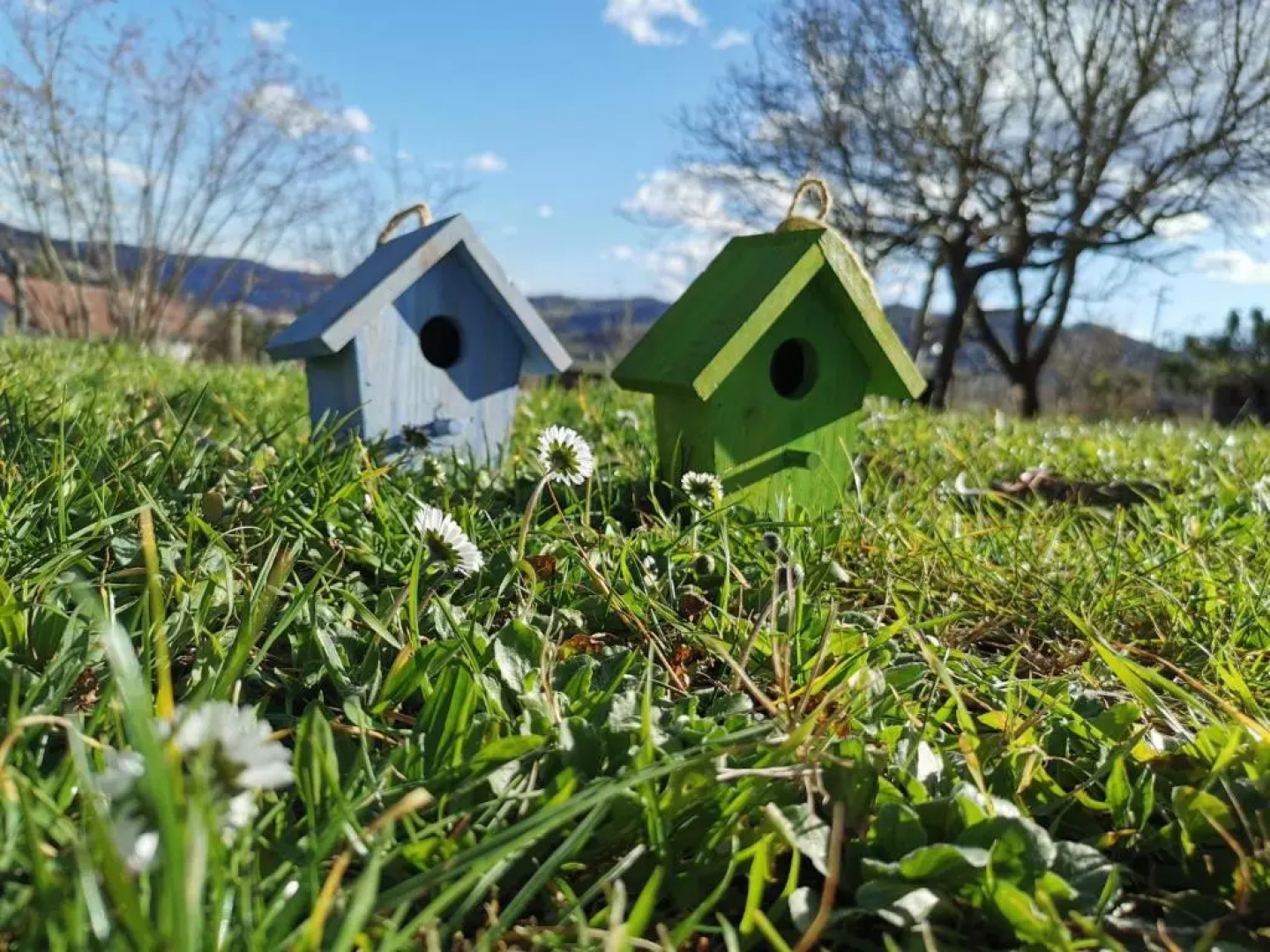 Agriturismo Mondoarancio