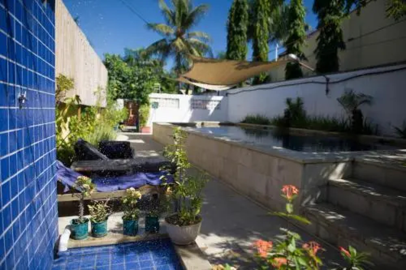 Timor Backpackers