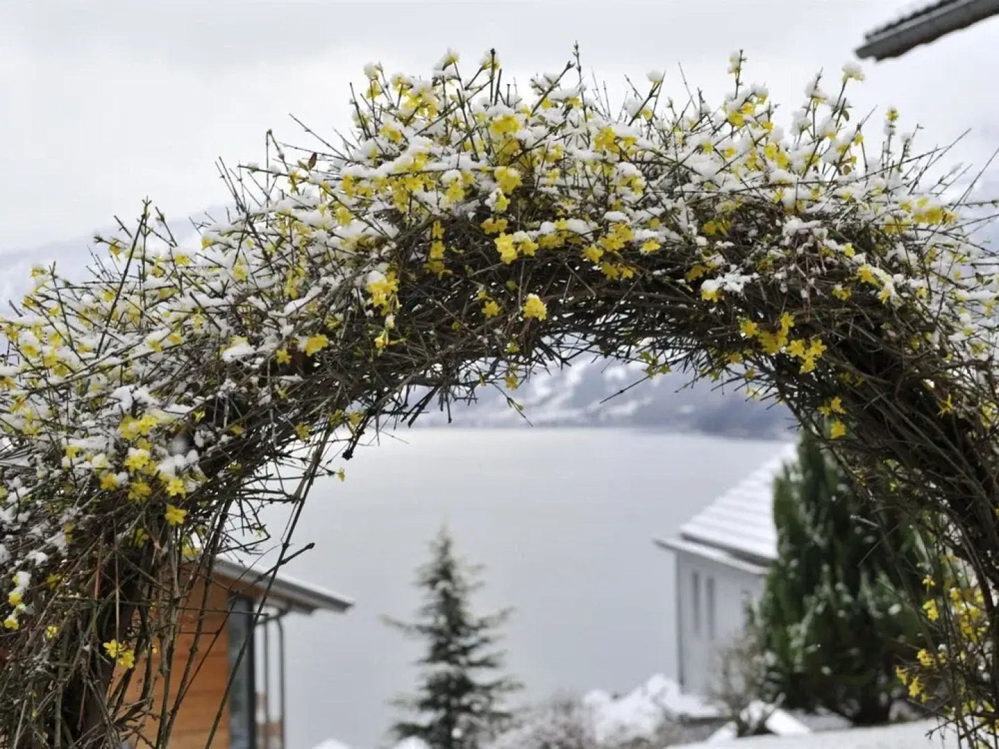 Villa Nora Faulensee