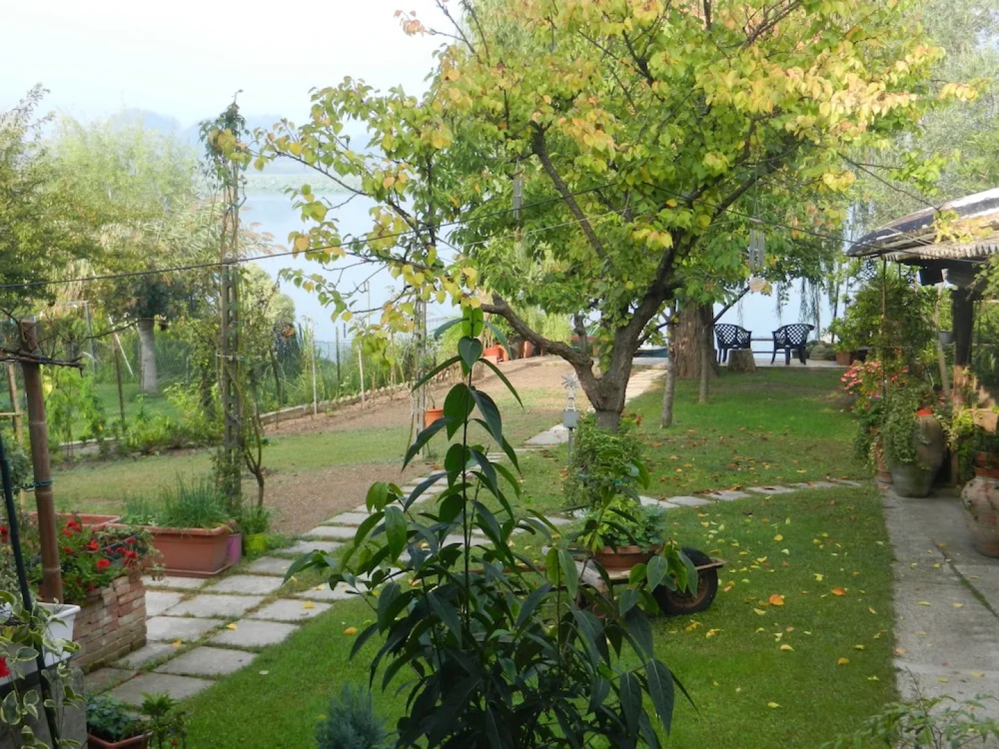 B&B Casanonni Borgo Angeli