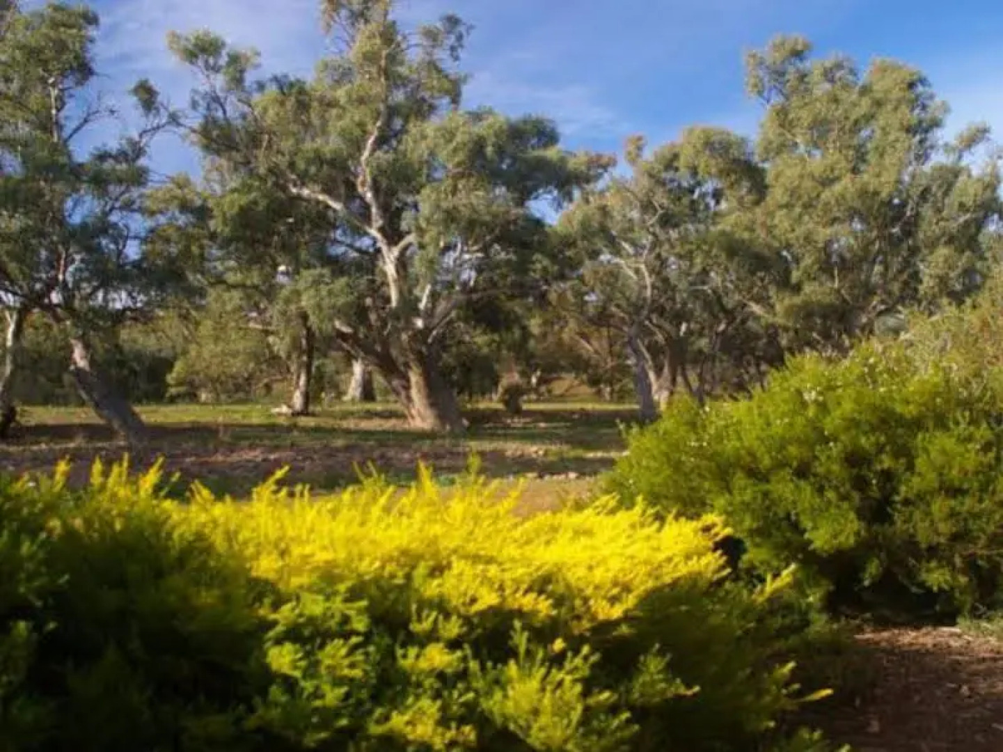 Endilloe Lodge B&b Holiday House