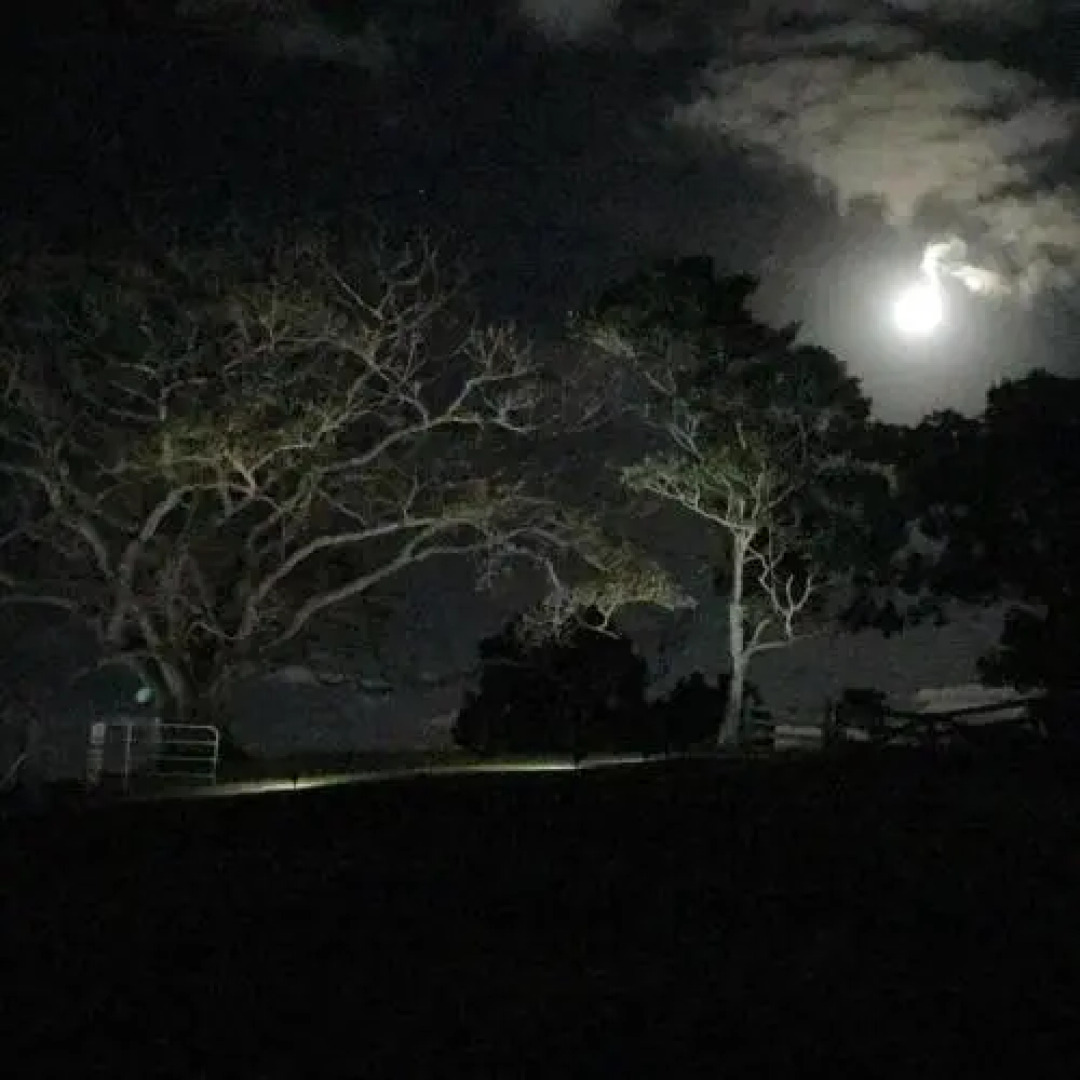 Thirlestane Farm Cottage