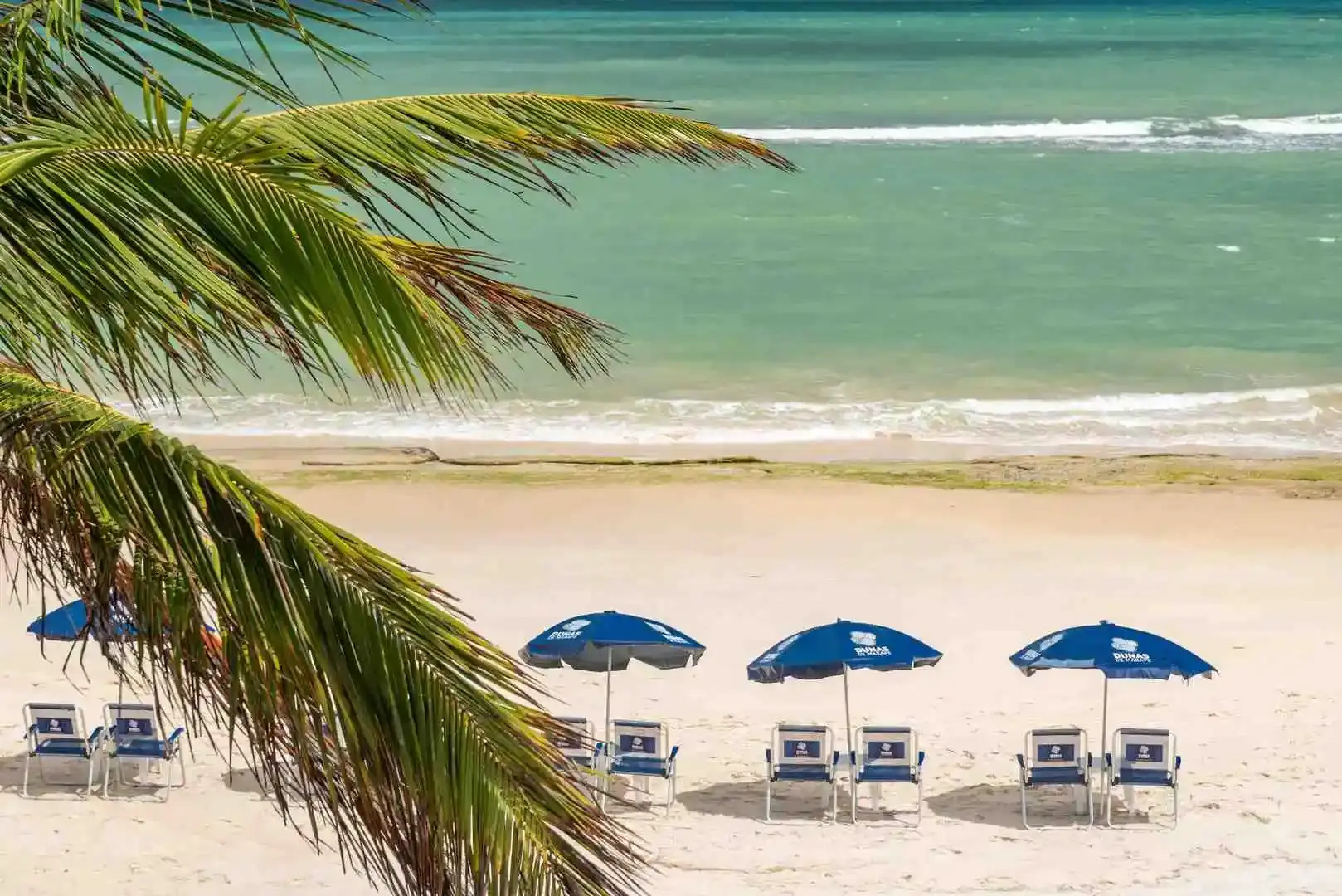 Transamerica Dunas de Marapé