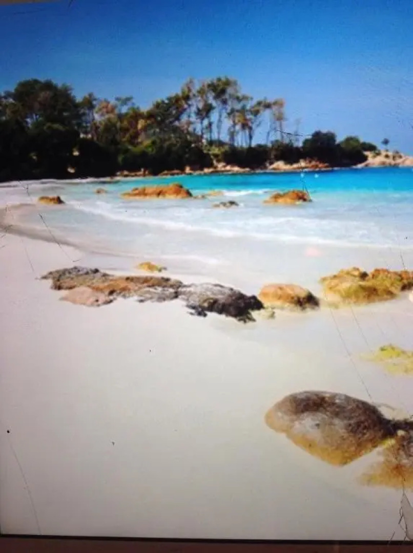 Charmant Appartement 2 pièces