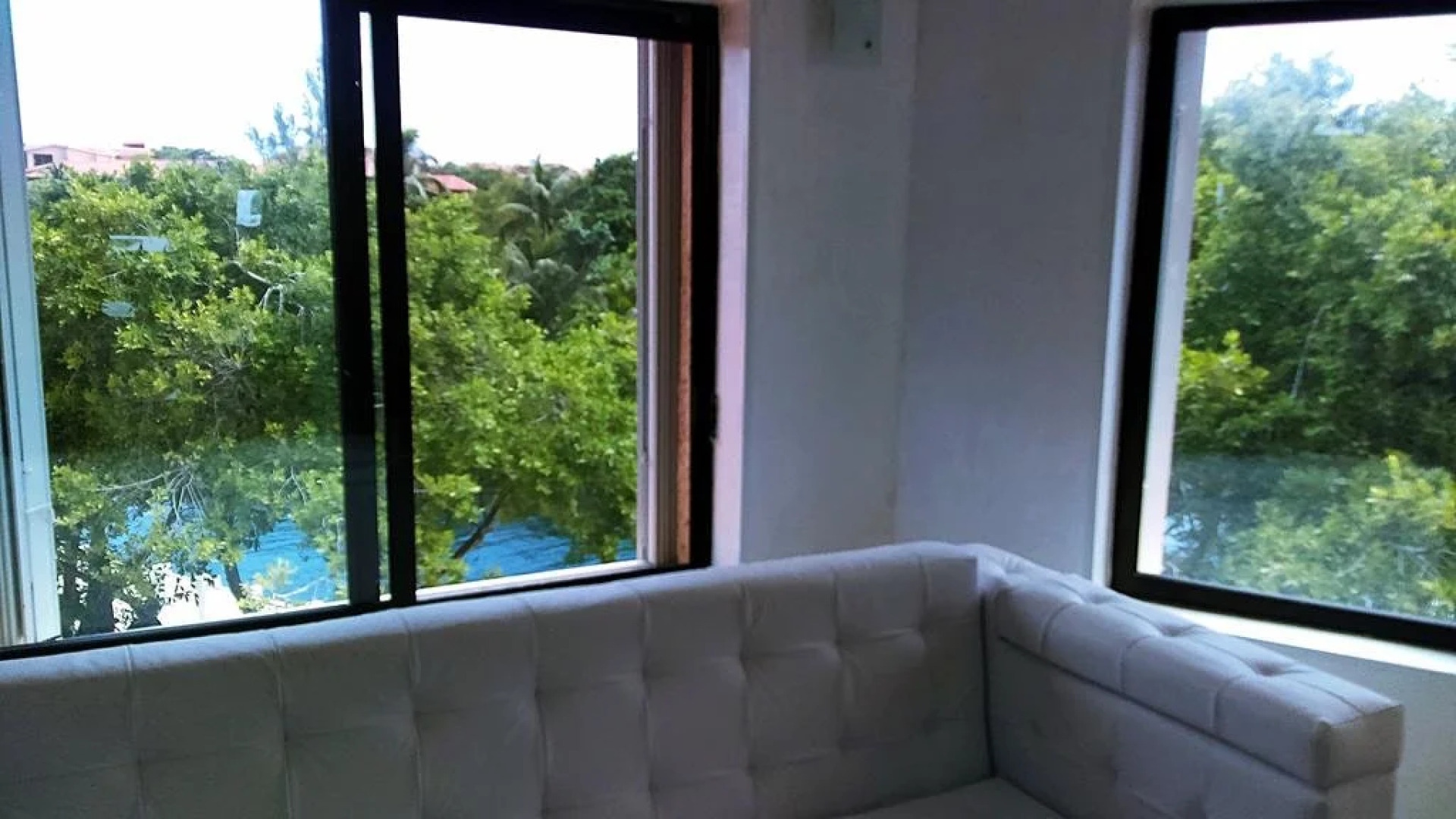 Happy Smile by the Dolphins