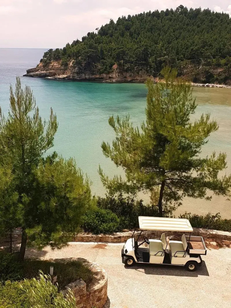 Alonissos Beach Bungalows & Suites Hotel