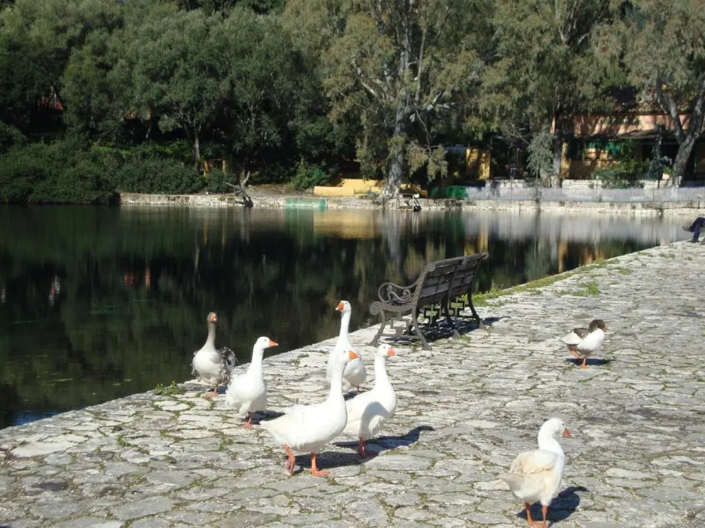 Sea Breeze Apartment