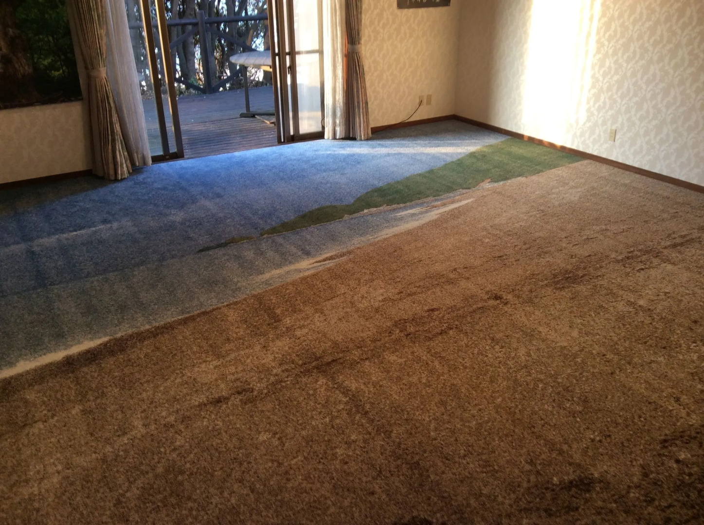 Marine Blue Yakushima