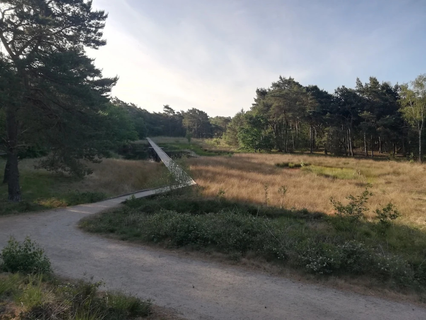 Room-room to Rent With own Entrance, liv